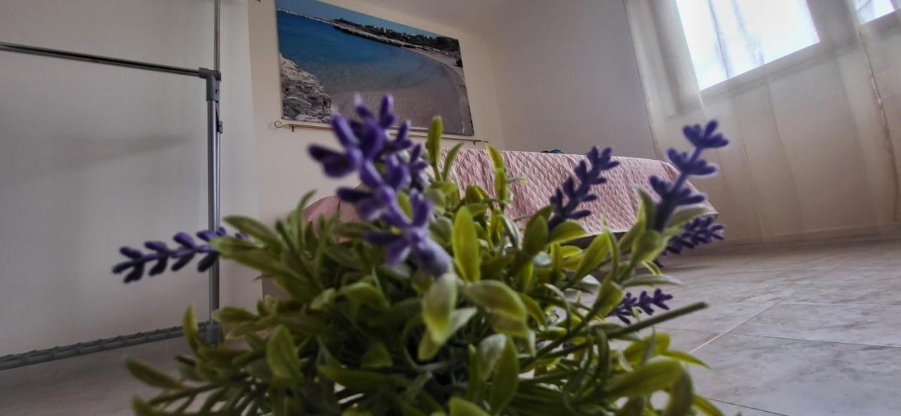 Bradisc'House Appartement Porto Torres Buitenkant foto